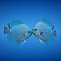bluepixel